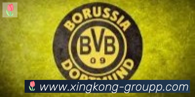 星空体育官网入口合作伙伴